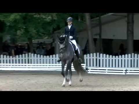 Bundeschampion 2014 - Fünfjährige Dressurpferde: DSP Belantis von Benetton Dream -  Expo'se