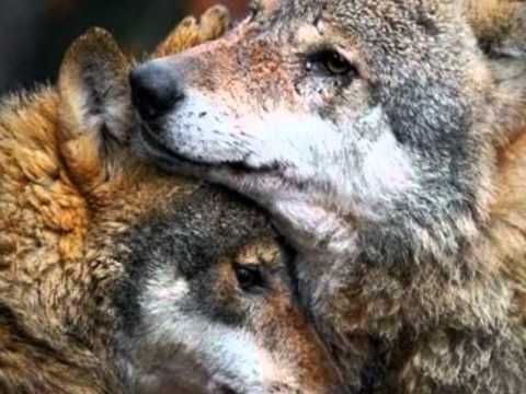 Menino Grande. María Bethania e Omara Portuondo