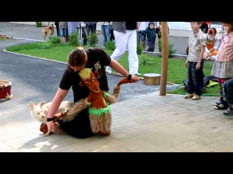 У воспитанников реабилитационного центра появились четвероногие доктора