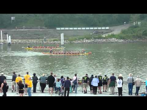 PaddleBot - 2010 Edmonton Dragon Boat Festival, Saturday Aug 21, Race #7