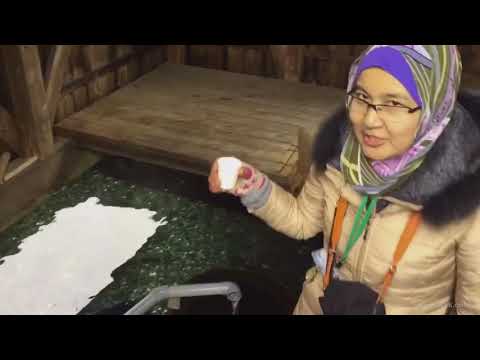 Harie-The Village of Living Water