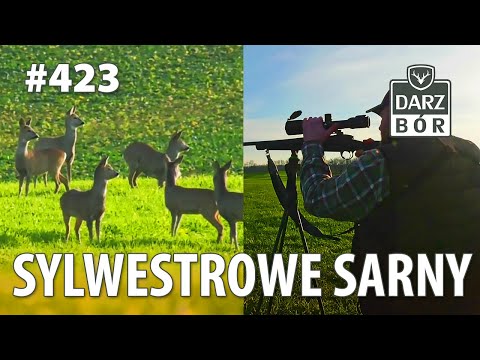 Darz Bór odc. 423 Sylwestrowe sarny.