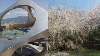 2025_04_05沼津市　桜満開の香貫山ハイク[大漁桜・三春滝桜・ミツバツツジ].wmv