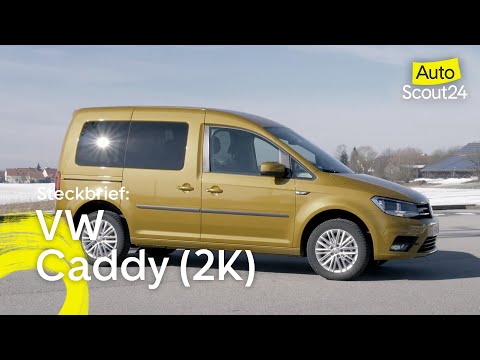 Steckbrief: VW Caddy (2K)