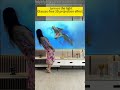 3D Naked Eye Foldable Projector