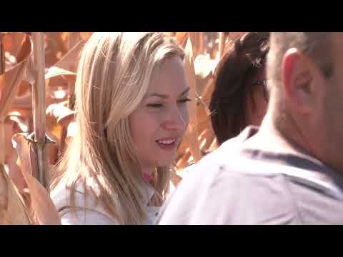 Naše dobro ep.114 03.10.20. Pčele; Kukuruz; Analize; Homolje; Prerada; Hrizanteme; Oranje; Šipurak