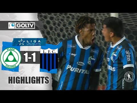 bg-highlight