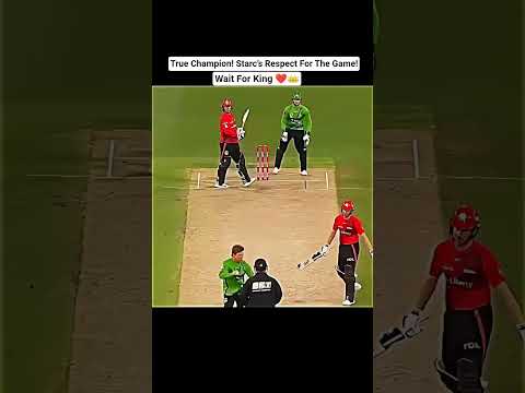 Mitchell Starc Shows Real Sportsmanship – Rare Moment!