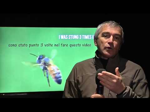 La Strada della Mela e dei sapori delle valli di Non e Sole