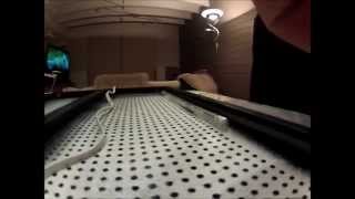 NERF: How to make a LED backlit Nerfgun rack