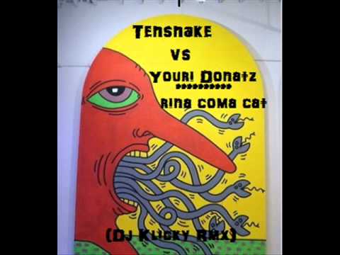 Tensnake vs Youri Donatz - Rina Coma Cat (Dj Klicky Remix).wmv
