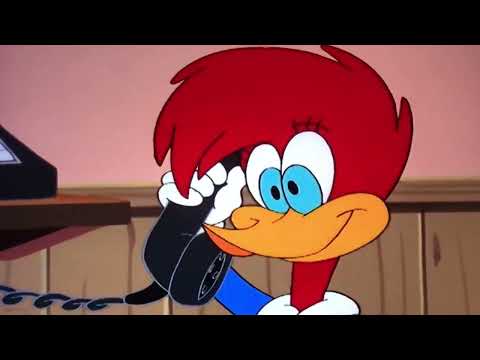 Shanti in Wonderland part 12 - More Ups and Downs for Shanti