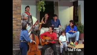 Ojos negros nunca engañan tigres del norte