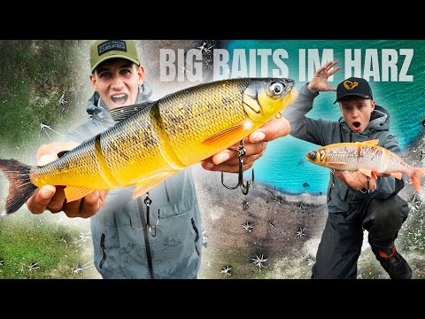 First time pike fishing at the Harz Dam – Go Big or Go Home!