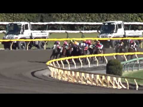 2015 ヒアシンスステークス ゴールドドリーム HYACINTH STAKES / GOLD DREAM