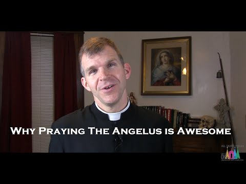 Why Praying The Angelus is Awesome - Fr. Jonathan Meyer