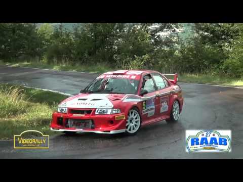 Rally Raab 2015 Anteprima Videorally Show & Crash