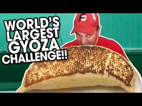 World's Largest Japanese Gyoza Dumpling Challenge in Tokyo, Japan!!