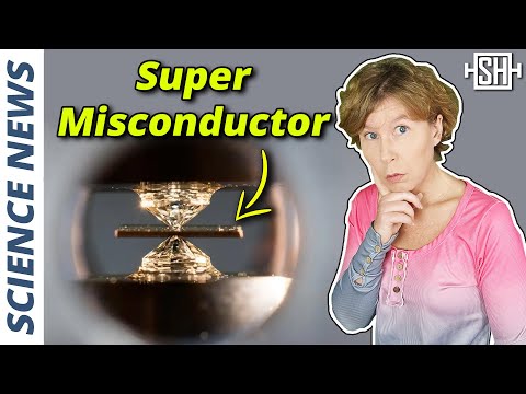New Superconductor Scandal: What We Know So Far