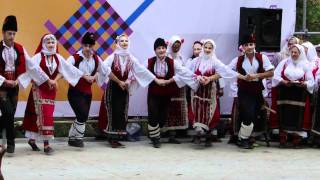 preview picture of video 'Koprivshtitsa 2010 - Dobrich stage #3'