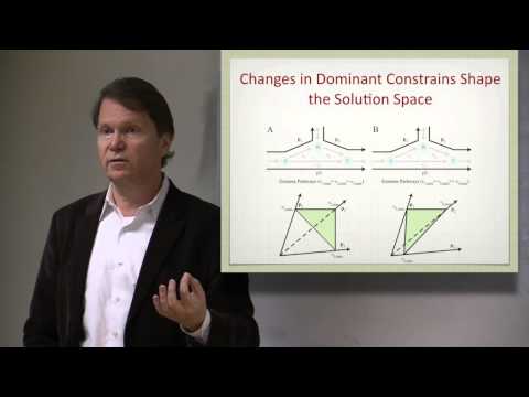 Lecture 12. Pathways