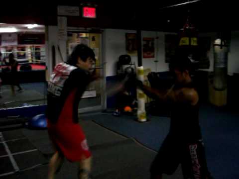 8 SYSTEM MMA SPEED 001.mov