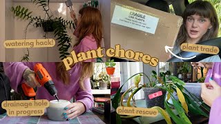 🌿 2 days of plant chores 🌿 packing a plant trade, massive repot, saving yellow plants, & more!