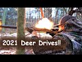 DEER DRIVES With FLINTLOCKS Deer Everywhere Flintlock Muzzleloader PA Deer Hunting 2021