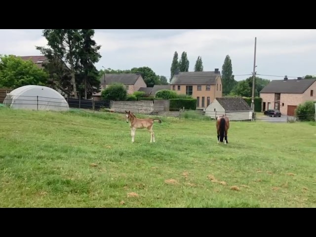 Airbus de Bettincourt