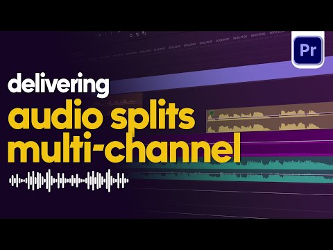 Export Split-Track/Multi-Channel Audio from Premiere Pro