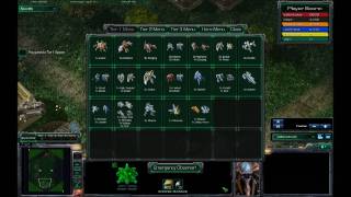 Starcraft 2 Fun or Not #5 - Team Micro Arena