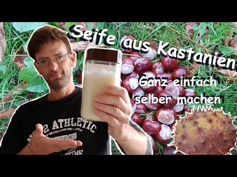 Kastanien - Seife und Waschmittel ganz einfach selber machen