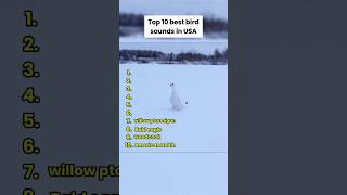 Download lagu 10 suara burung terbaik di AS 🇺🇸 #top10 #suaraburung mp3