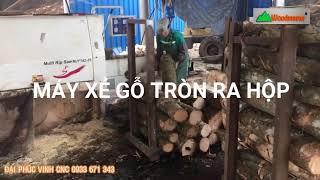 Chuyền máy Xẻ gỗ tròn gỗ Keo, gỗ Tràm, gỗ Thông
