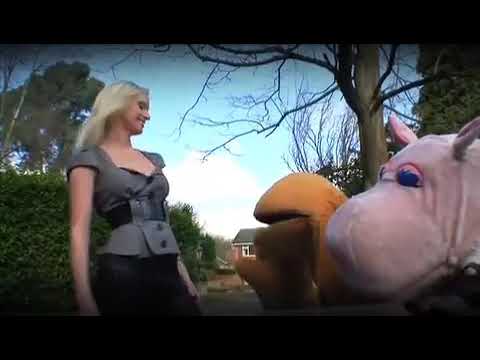 Rainbow - zippy and george