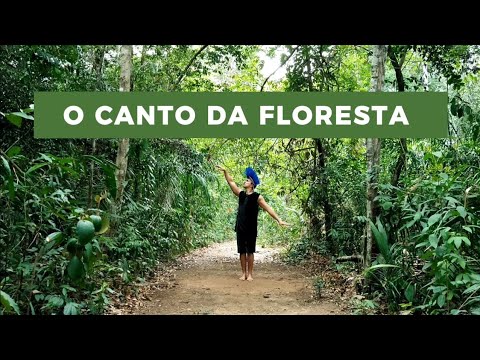 O Canto Da Floresta - Boi Caprichoso