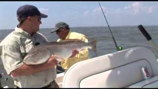 preview picture of video 'Fishing for St. Simons Island Bull Reds'
