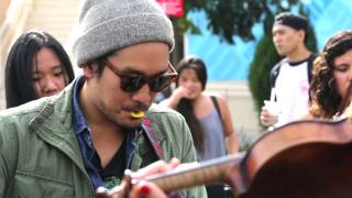 The Traveling Show | Run River North - "Beetle"