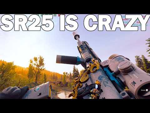 SR25 Is Crazy - Delta Force Multiplayer Gameplay (SR25 Marksman / BEST BUILD)