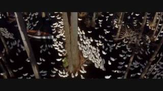 The Original Snow Patrol "You Could Be Happy" - The Notebook