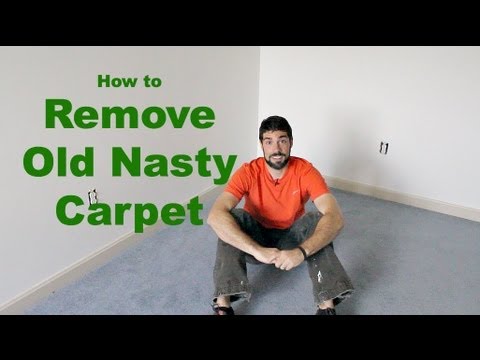 image-How much does it cost to have someone remove carpet?