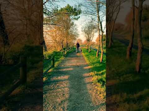Nélida... aprendiendo a caminar con correa y a disfrutar de los paseos!