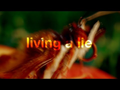 Video thumbnail for living a lie