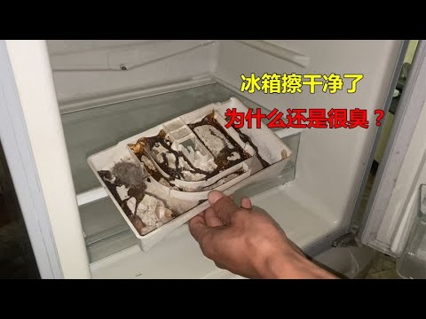 冰箱後面