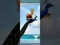 Thiruchendur Murugan Ai Shorts Reels Trending Trendingshorts Murugan Murugansongs Viral Om