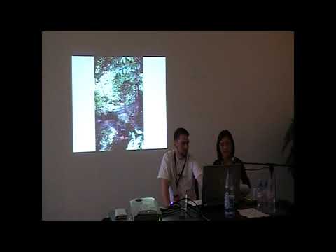 Comic-Salon Erlangen 2010 - Ninja! Hinter den Schatten