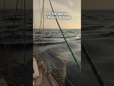 They saw something shocking in the middle of the ocean 😱