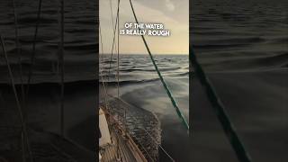 They saw something shocking in the middle of the ocean 😱