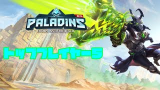 Paladinsトッププレイヤー5
