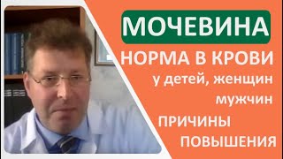 Повышенная мочевина и мочевая кислота в крови
